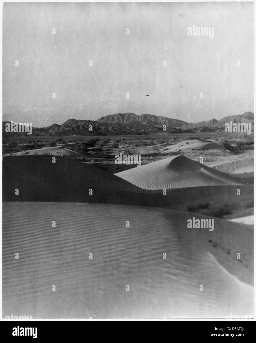 Ce tirage montre une partie d’une photographie prise dans la vallée impériale, en Californie, en 1901, offrant un aperçu des conditions agricoles et environnementales de la région à l’époque. Banque D'Images