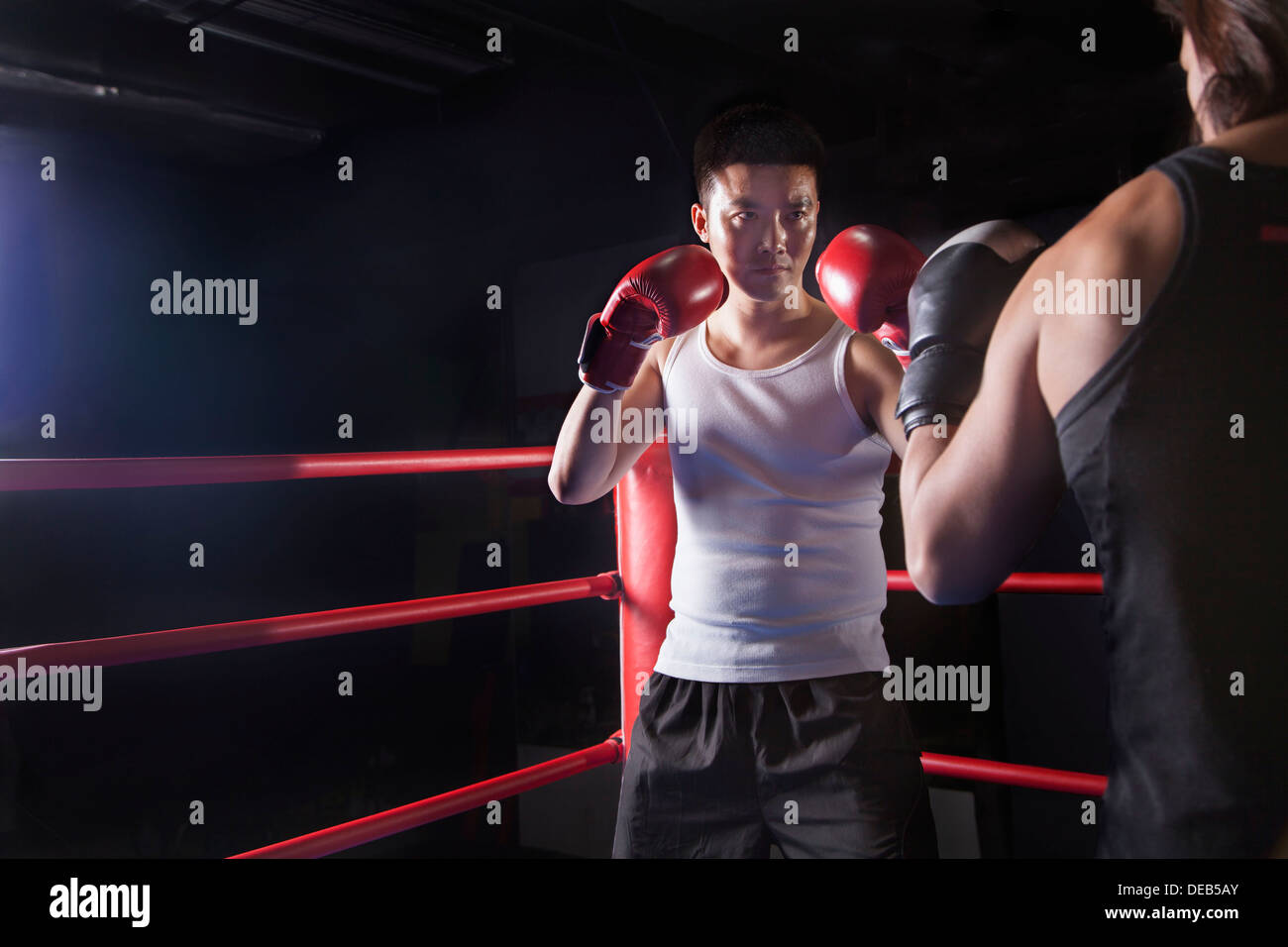Au cours de l'épaule de deux boxeurs masculins s'apprête à fort dans le ring de boxe à Pékin, Chine Banque D'Images Au cours de l'épaule de deux boxeurs masculins s'apprête à fort dans le ring de boxe à Pékin, Chine Banque D'Images