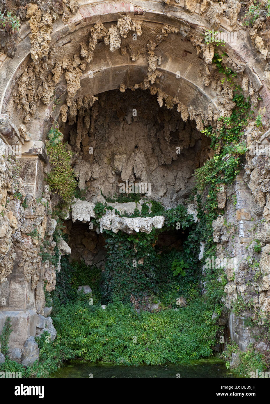 Envahi par une grotte avec des stalagmites et stalagtites avec le feuillage Banque D'Images