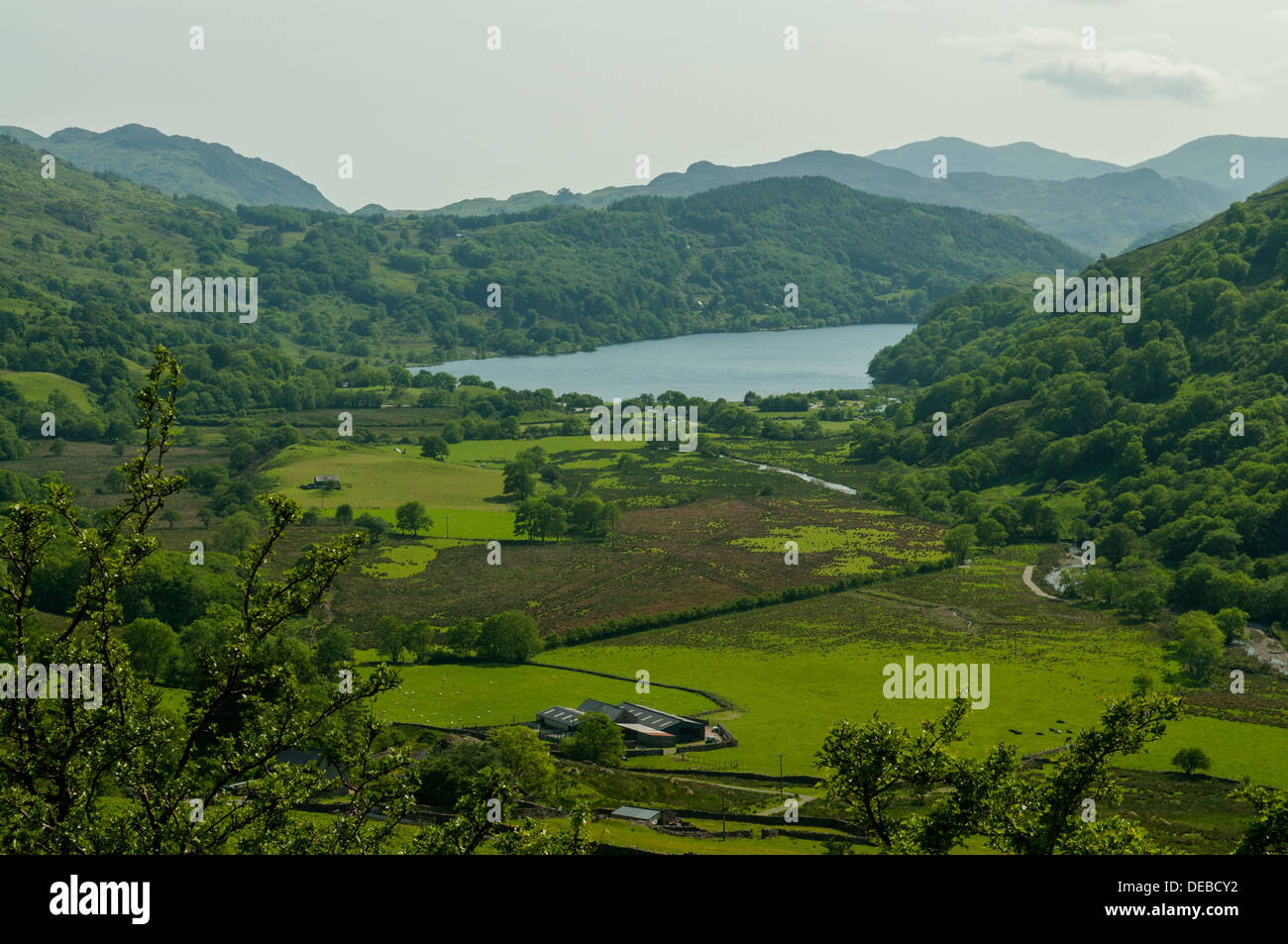 Lake Gwynant, Snowdonia, Gwynedd, Pays de Galles Banque D'Images