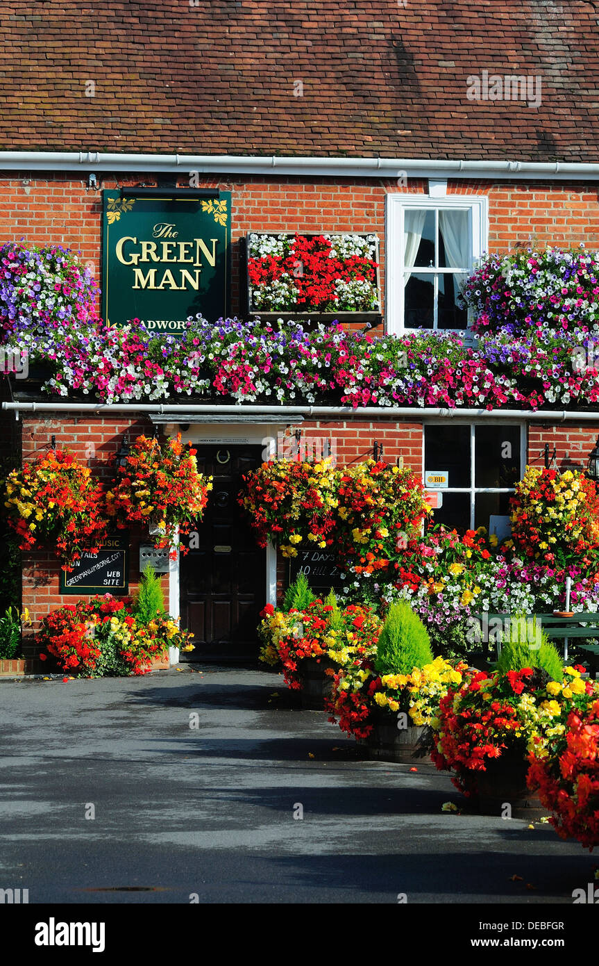 Un fantastique affichage des annuelles d'été dans un pub avant-cour Dorset UK Banque D'Images