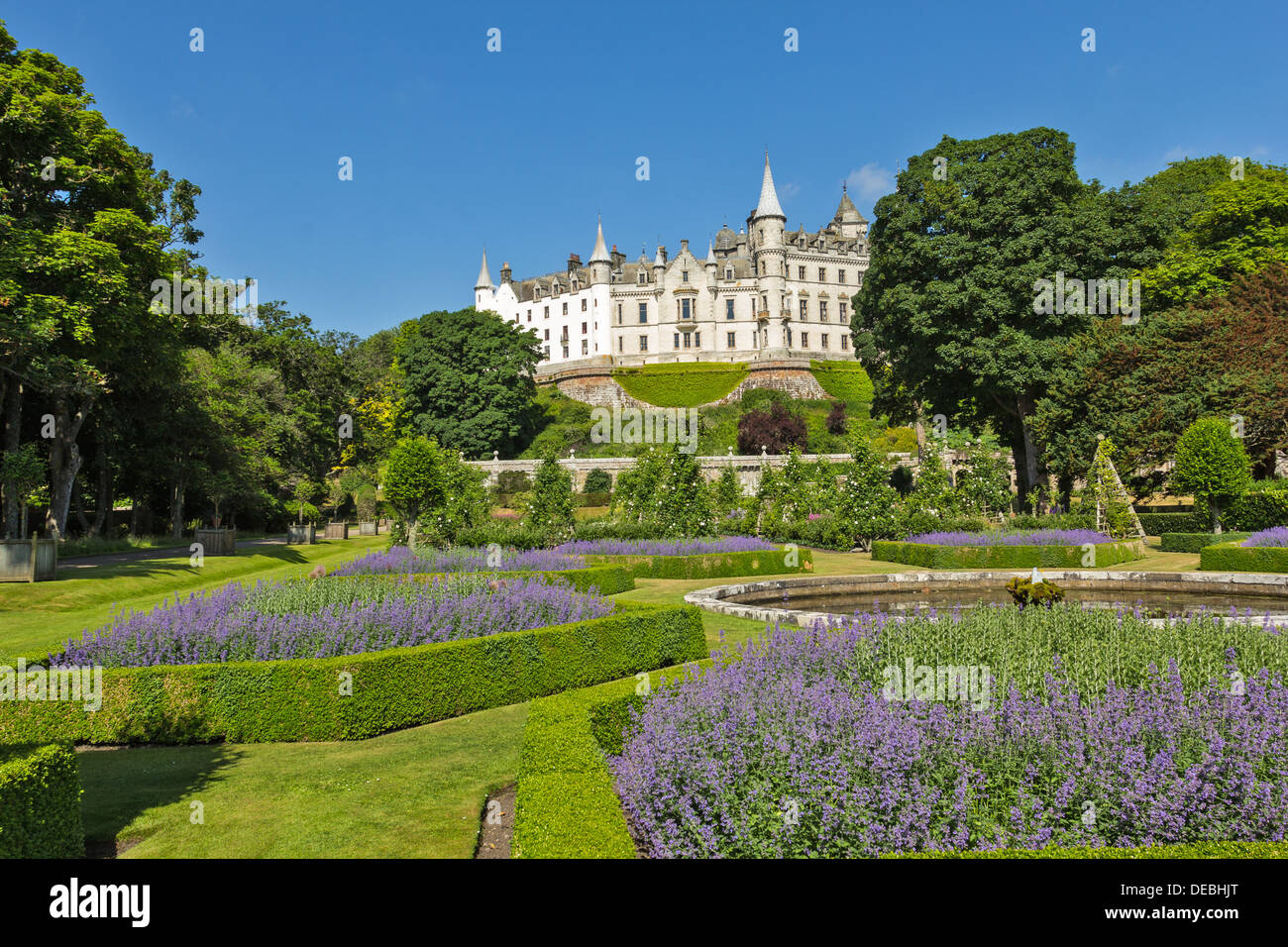 DUNROBIN CASTLE GOLSPIE SUTHERLAND EN ÉCOSSE AVEC CATAIRE FLEURS BLEU Banque D'Images