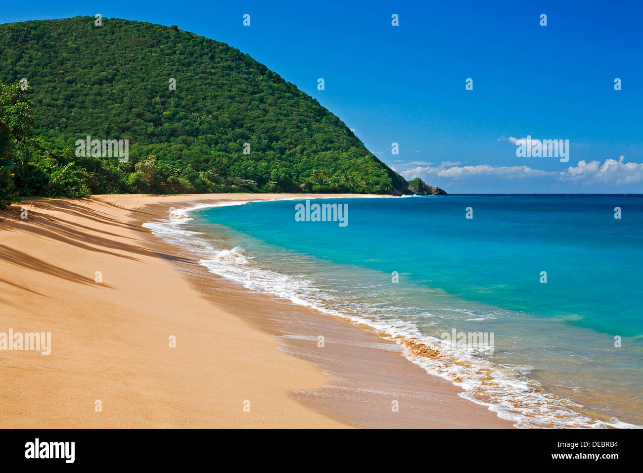 Plage d'Plage de Grande Anse, Deshaies, Arrondissement de BasseTerre
