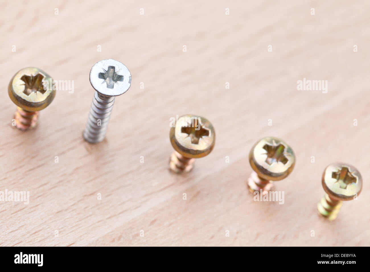 Gamme de vis enveloppé dans bois close up Banque D'Images