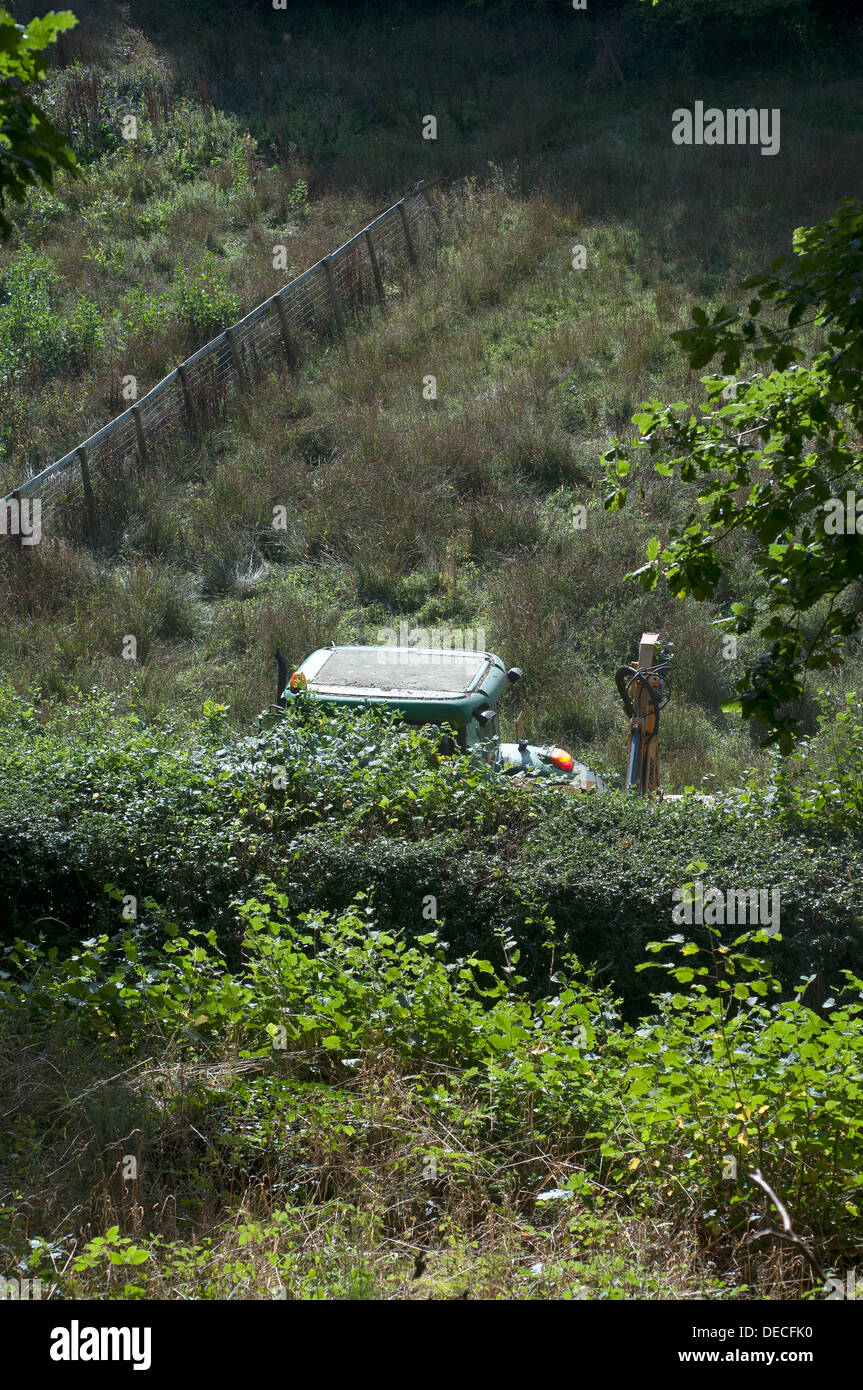 Hedgecutting,cabine de tracteur Banque D'Images