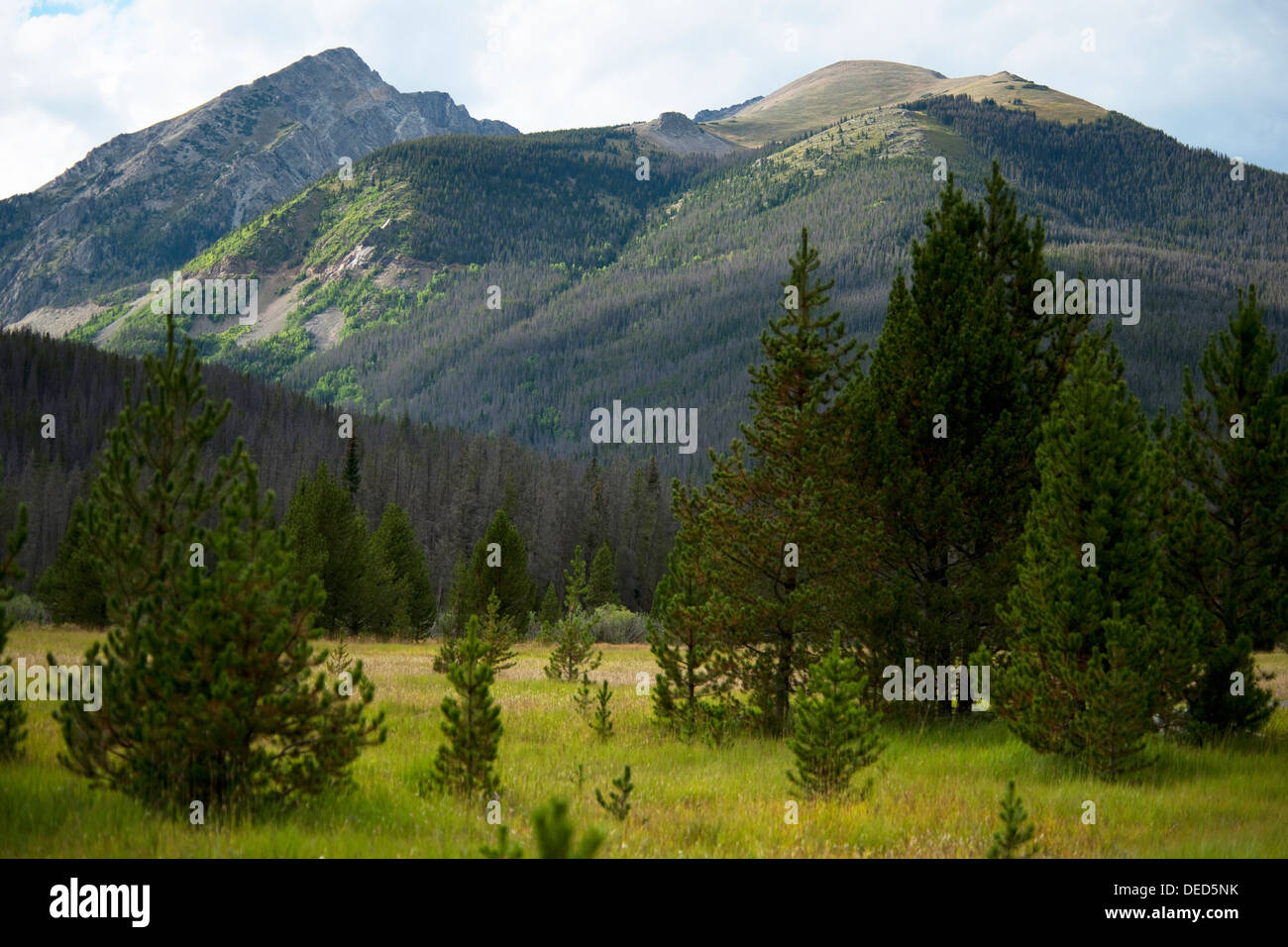 Montagne de Baker Banque D'Images