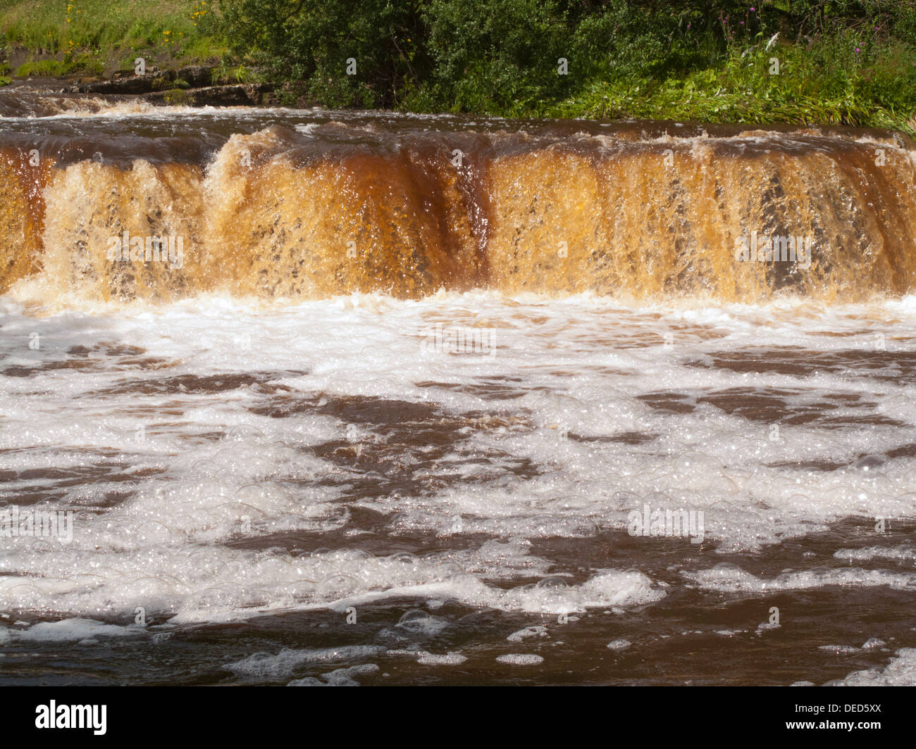 Le Wath Wain, Force Swale, rivière en crue Banque D'Images