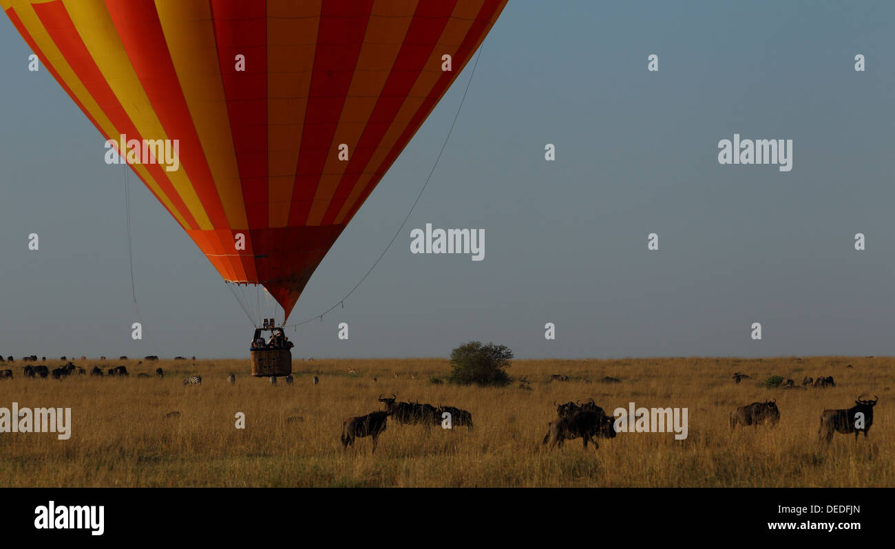 Hot Air Balloon Safari dans le Masai Mara, Kenya, Afrique Banque D'Images