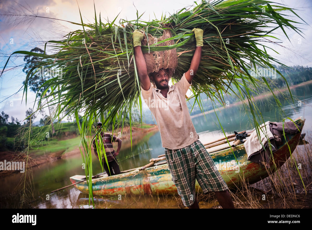 Portrait d'un agriculteur travaillant dans le district de Nuwara Eliya, Highlands, Sri Lanka, Asie Banque D'Images