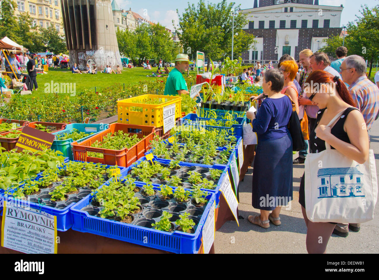 Herbes fraîches à Farmers Market à la place Jiriho z Podebrad quartier Zizkov Prague République Tchèque Europe Banque D'Images