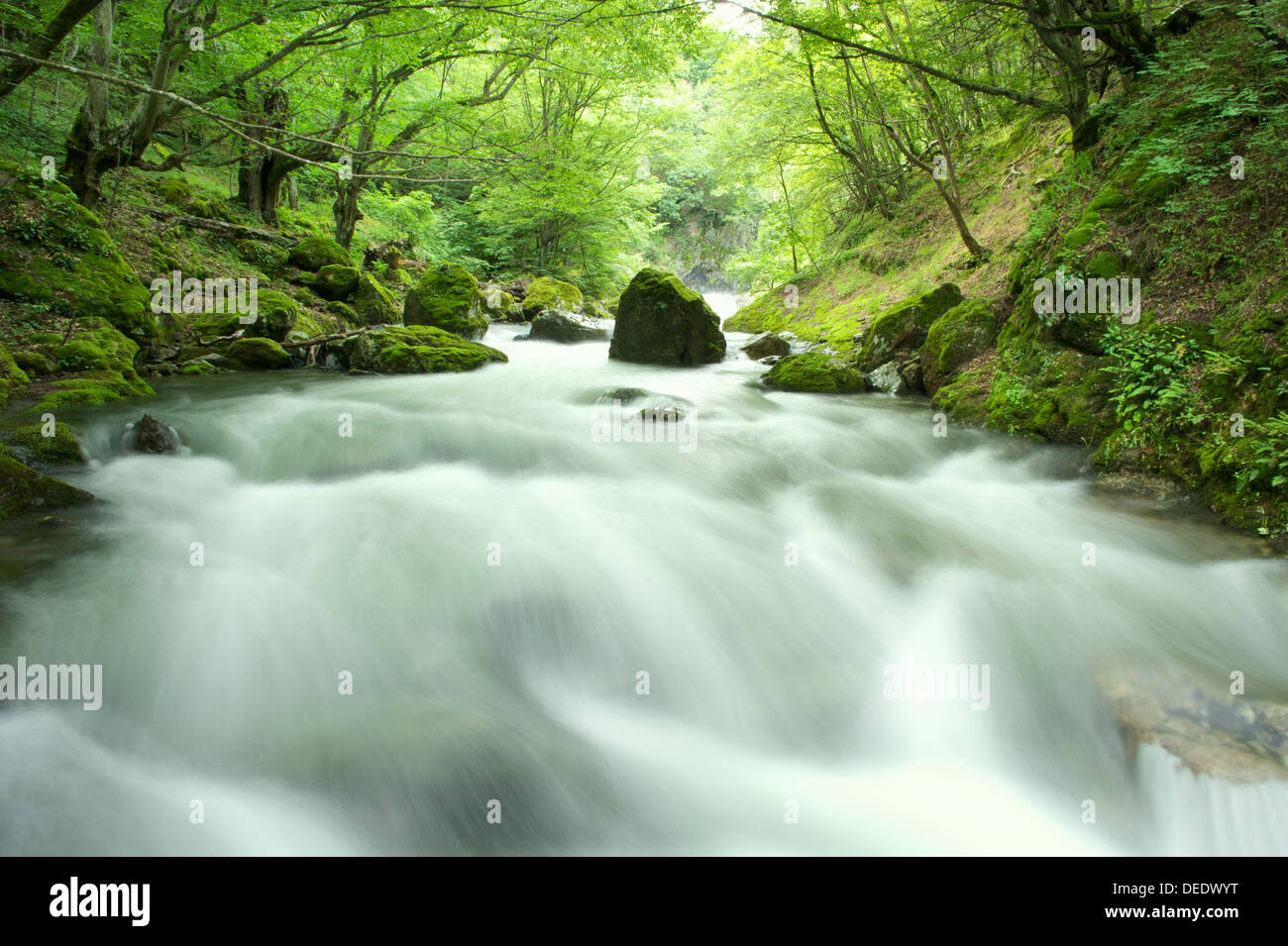 Le "White River" dans les montagnes des Balkans bulgare près de la ville Kalofer. Banque D'Images