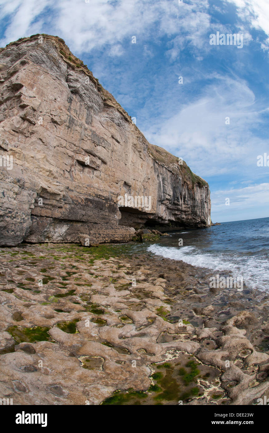 Corniche de falaises, de danse, de Purbeck Banque D'Images