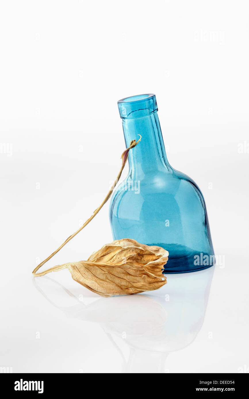 Gondolé feuille sèche et bouteille de verre bleu Photo Stock - Alamy