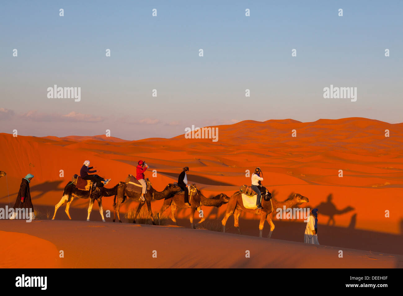 Les touristes en safari de chameau, désert du Sahara, Merzouga, Maroc, Afrique du Nord, Afrique Banque D'Images