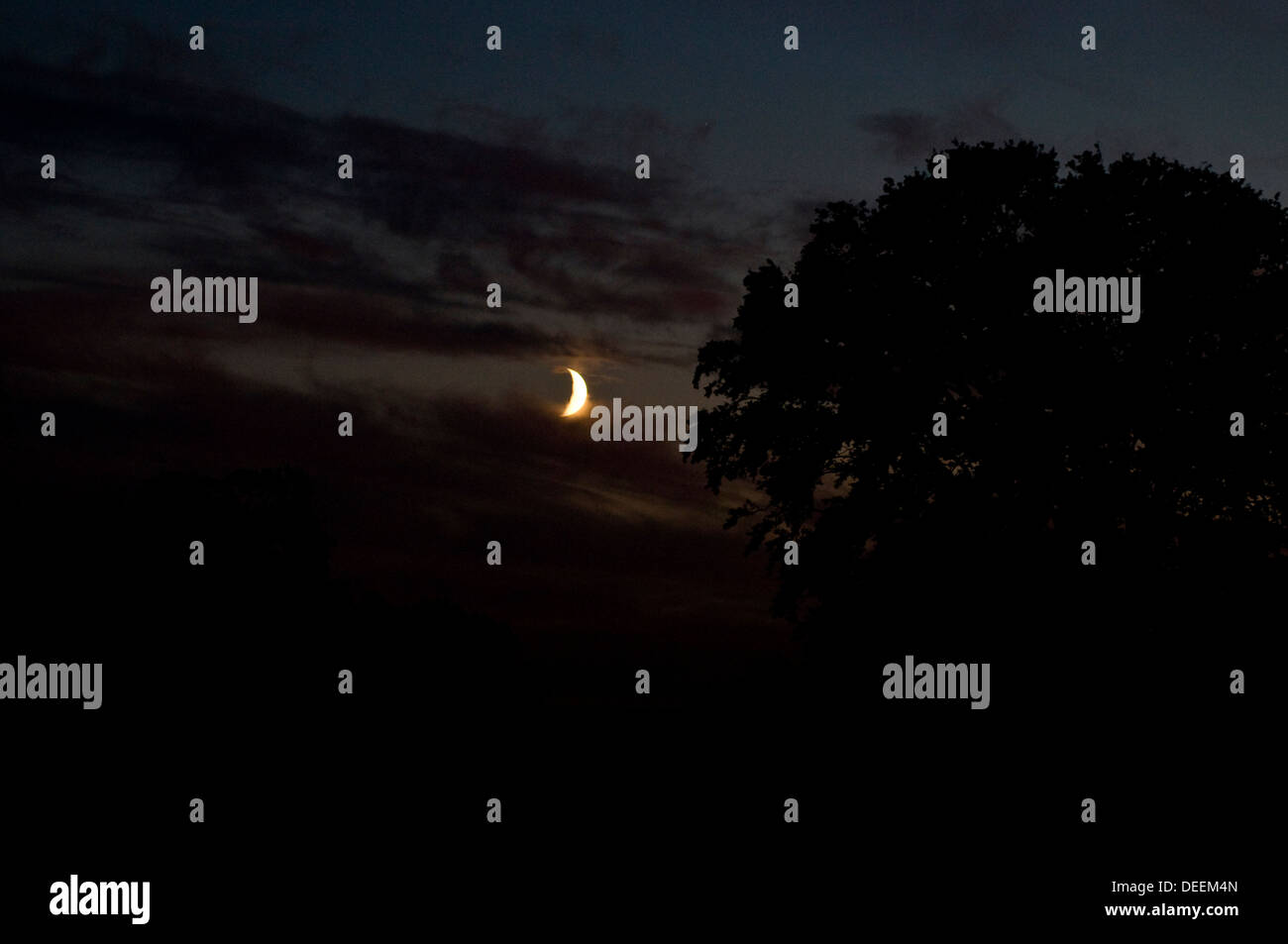 Une nouvelle lune Banque D'Images