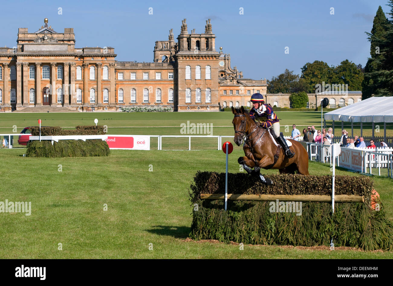 Le cheval et le cavalier à l'équitation de Blenheim Banque D'Images