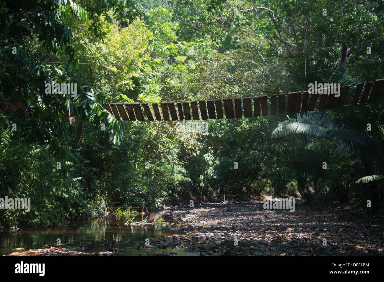 Un vieux pont de corde en bois dans les jungles du Costa Rica Banque D'Images