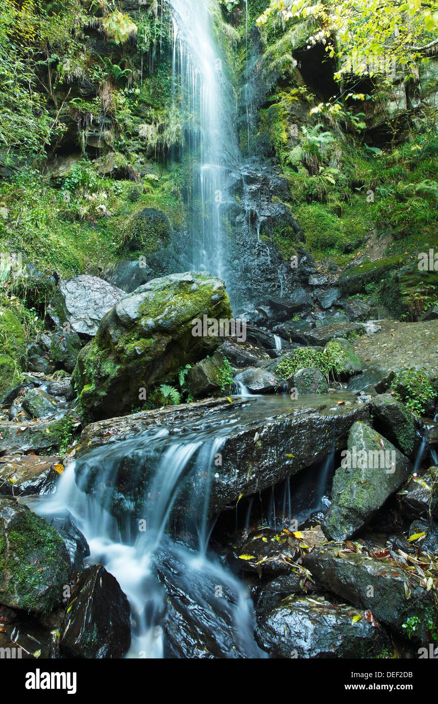 Cascade et la tuyère d'Mallyan West Beck Goathland, North York Moors. A l'automne 2012 Banque D'Images