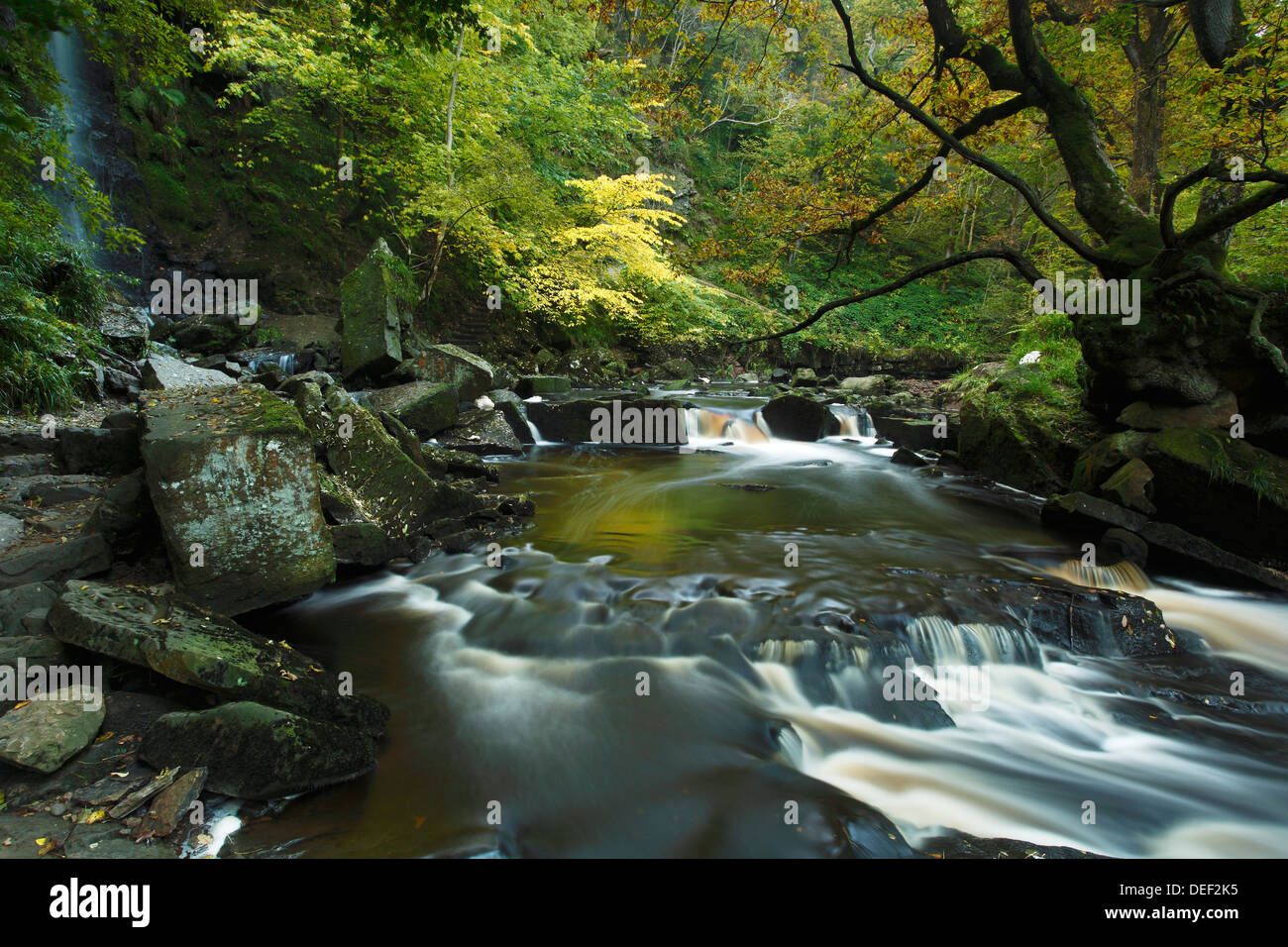 Cascade et la tuyère d'Mallyan West Beck Goathland, North York Moors. A l'automne 2012 Banque D'Images