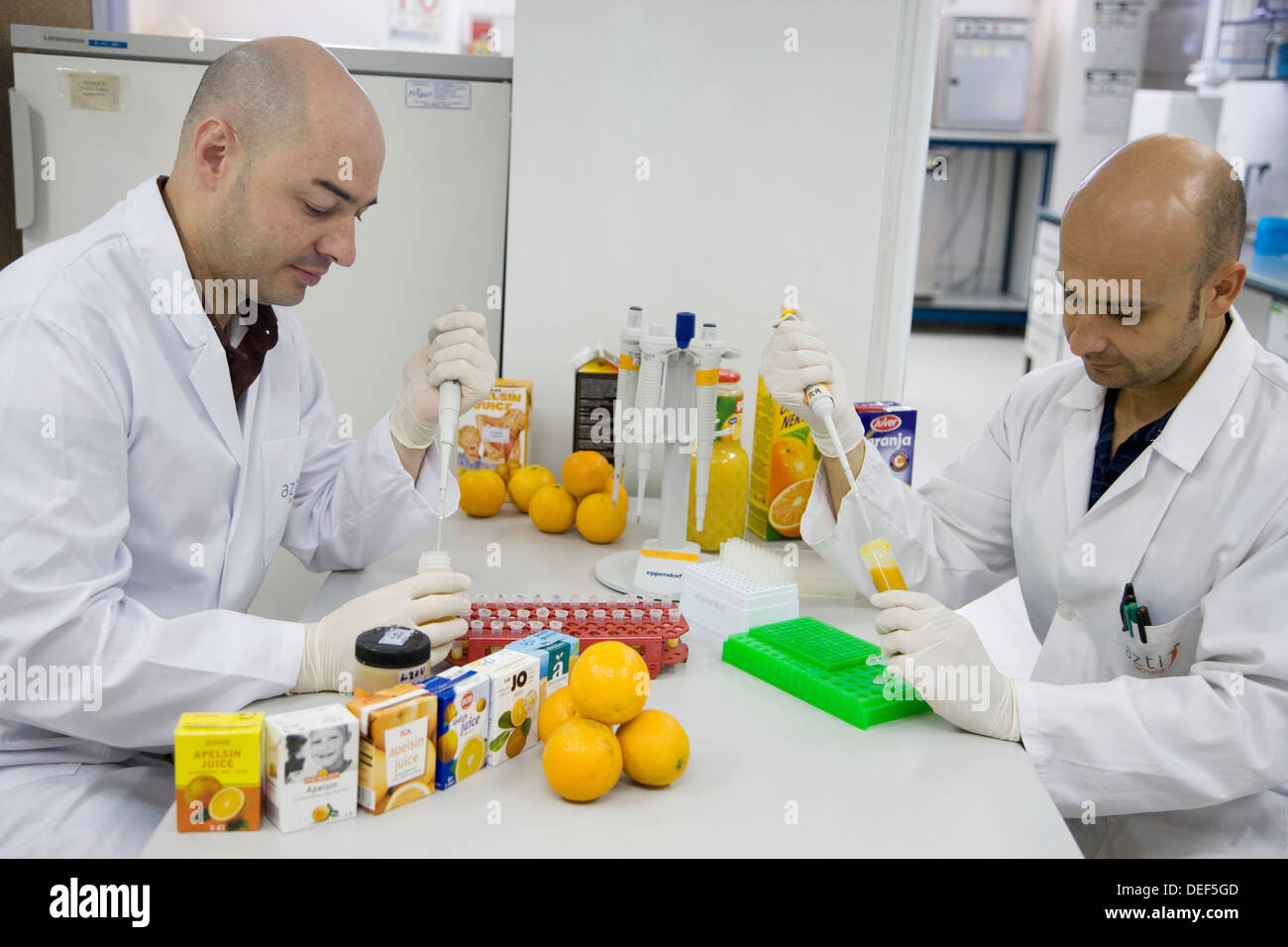 Laboratoire de biologie moléculaire. La préparation des échantillons pour détecter l'ajout de la mandarine au jus d'orange avec les techniques de l'ADN. Banque D'Images