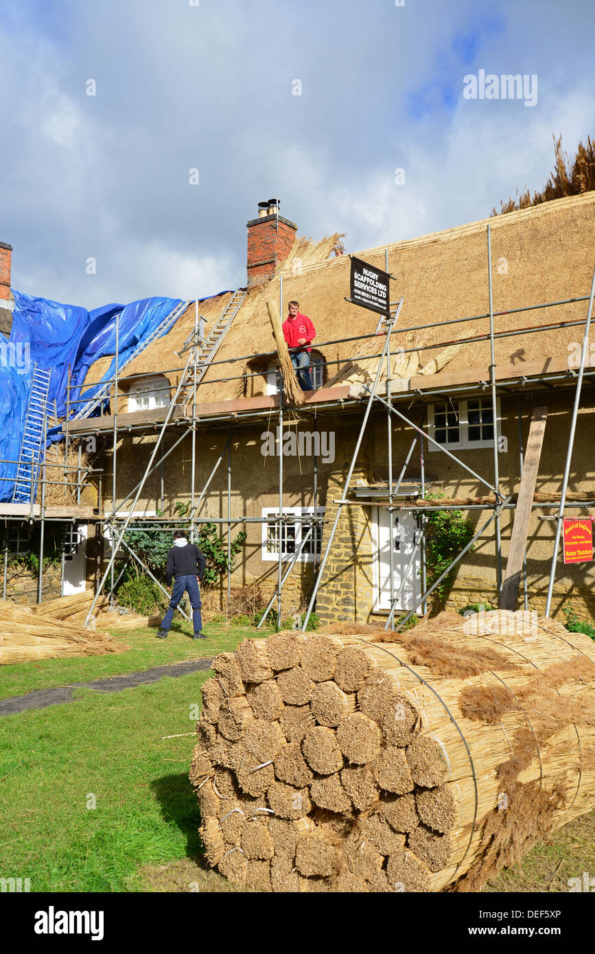 Toits de chaume Thatchers cottages, Ashby St grands livres, Northamptonshire, Angleterre, Royaume-Uni Banque D'Images