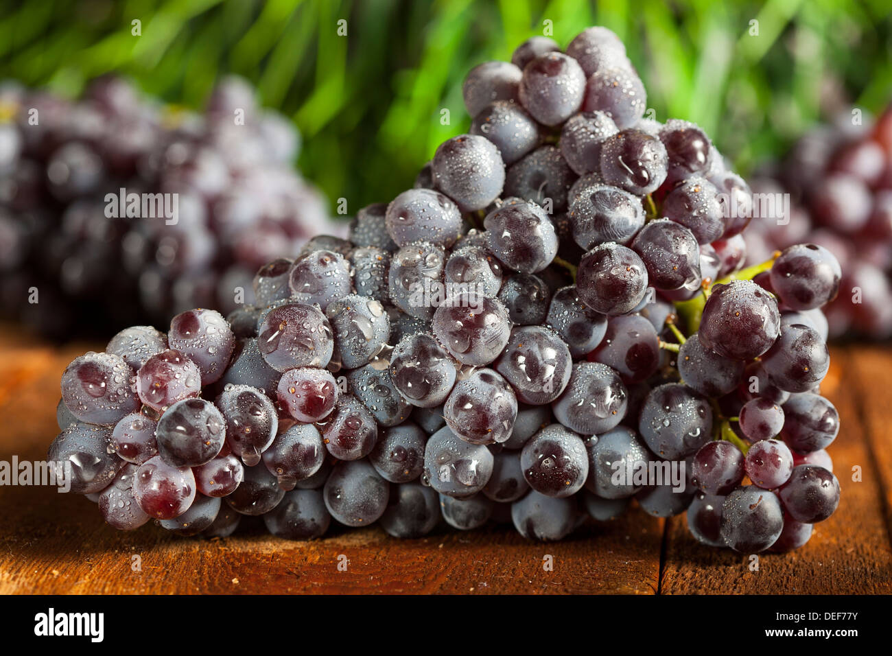Tige de raisin fruit Banque de photographies et d’images à haute ...