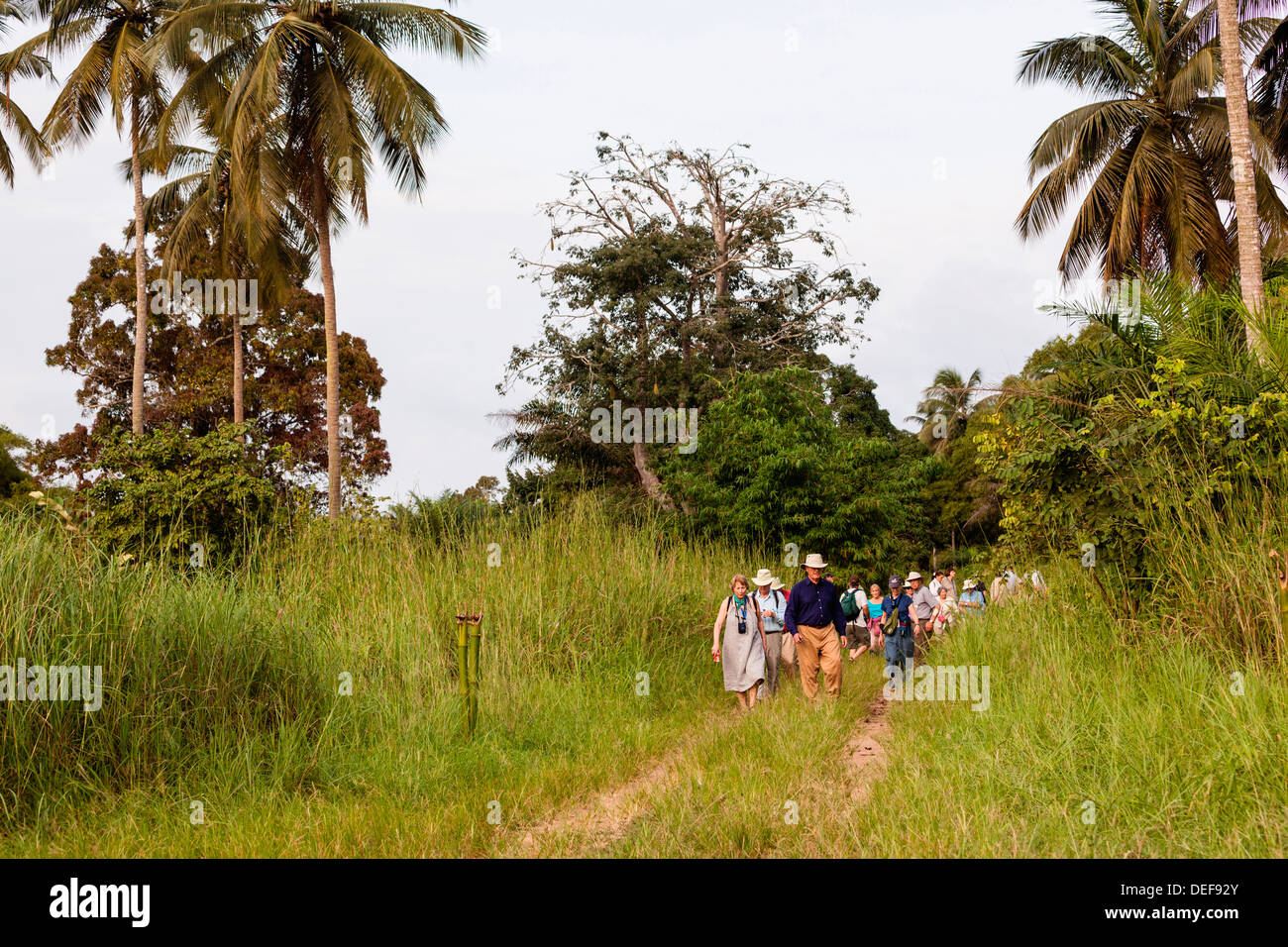L'Afrique, Congo, Point Noire. Les touristes en milieu rural Noire Point. Banque D'Images