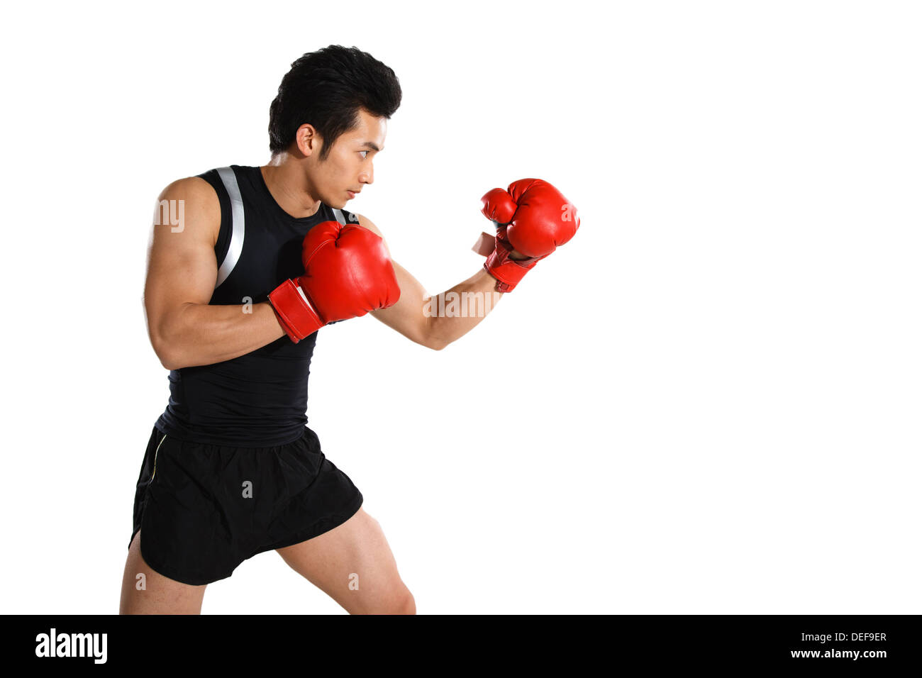 Portrait of male boxer Banque D'Images