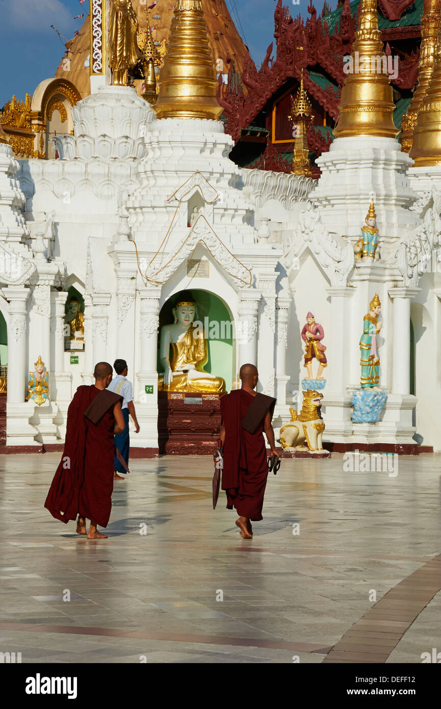 Monks, Paya Shwedagon, Yangon (Rangoon), le Myanmar (Birmanie), l'Asie Banque D'Images
