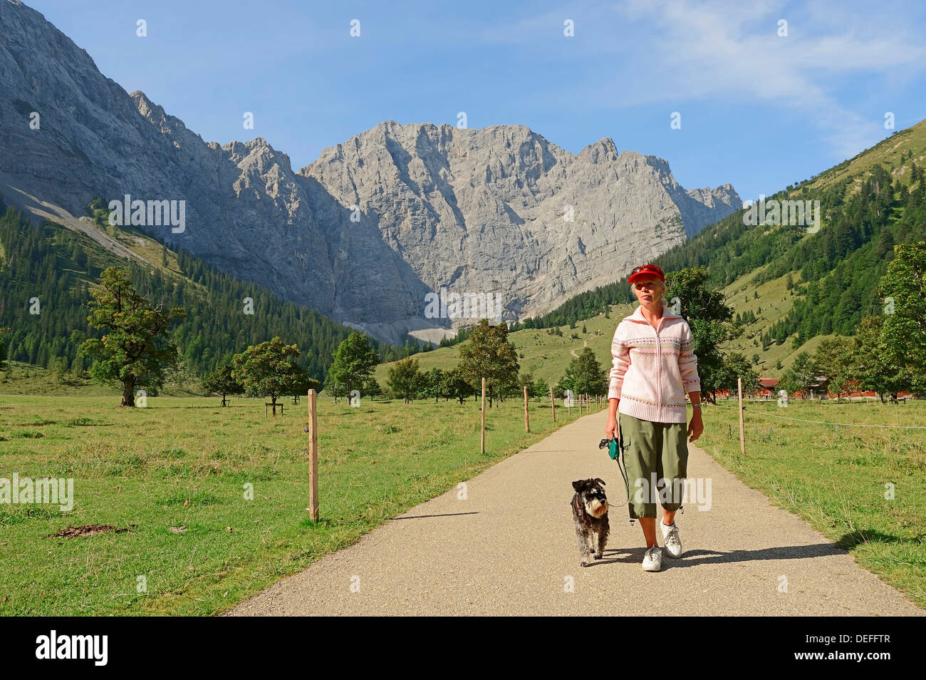 Randonnée femme avec un schnauzer nain, Engalm, en avant des montagnes du Karwendel, Großer Ahornboden, Karwendel Feriendorf Banque D'Images