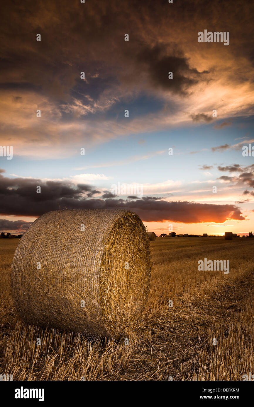 Or un coucher de soleil sur un champ de ballots de paille dans les régions rurales de Wiltshire. Banque D'Images