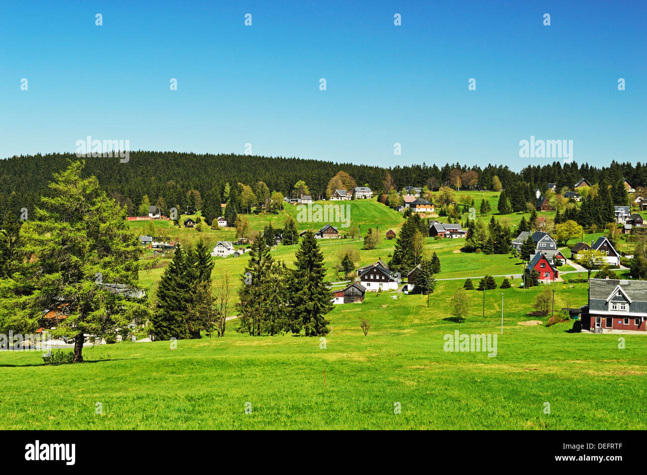 Pâturage et forêt, Erzgebirge, Saxe, Allemagne, Europe Banque D'Images