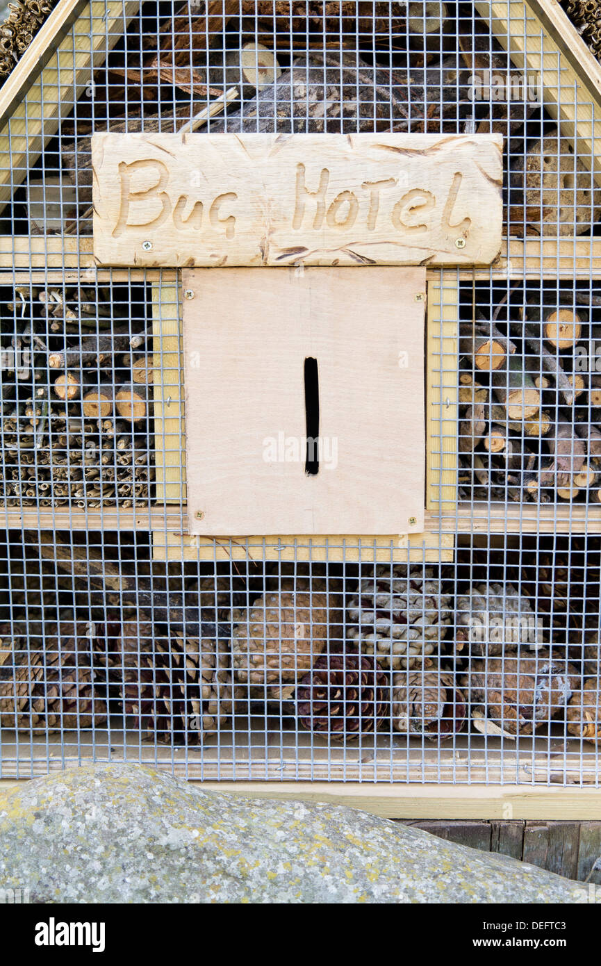 Bug insect house hotel home Banque D'Images