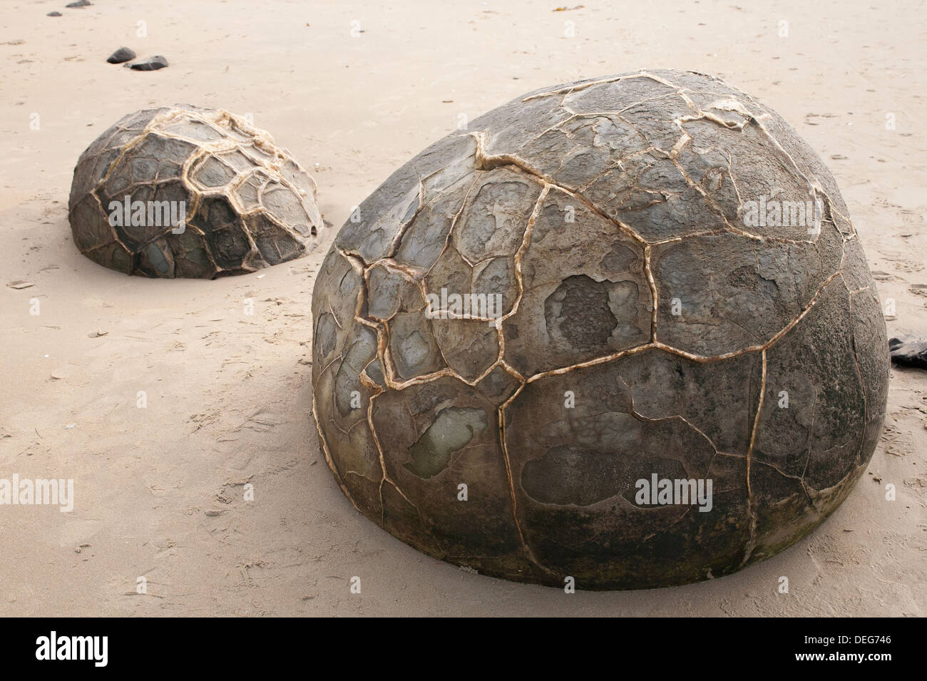 Moeraki Boulders la Nouvelle-Zélande dans l'Otago sur l'île du sud côte. billet près de Dunedin. Banque D'Images