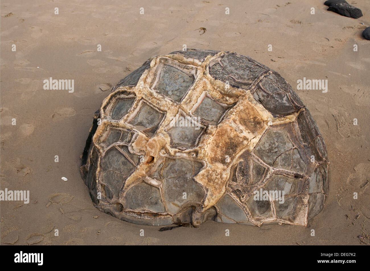 Moeraki Boulders la Nouvelle-Zélande dans l'Otago sur l'île du sud côte. billet près de Dunedin. Banque D'Images