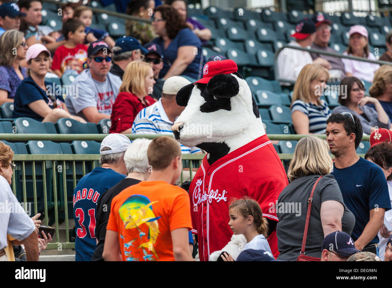 Chick-fil-A mascot interagir avec les fans de baseball à un jeu de formation du printemps à Kissimmee, Floride Banque D'Images