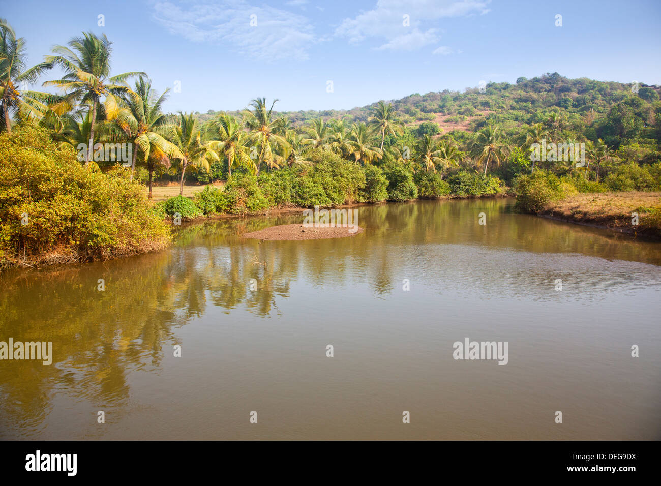 La réflexion de palmiers dans le lac, Panaji, Goa, Inde Banque D'Images