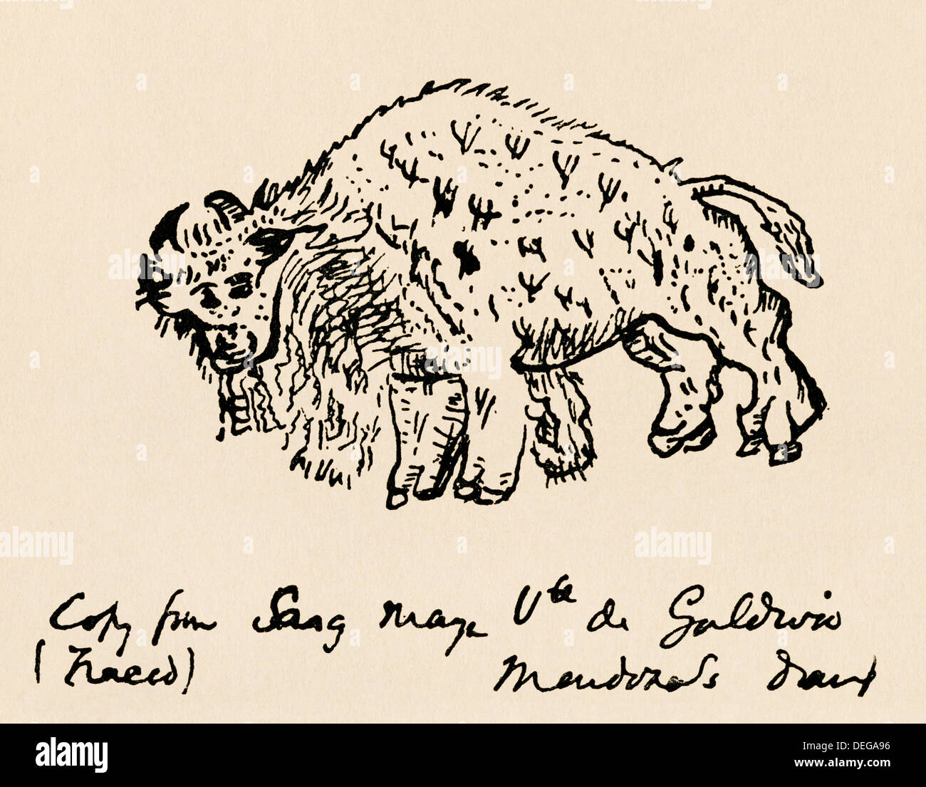 Croquis d'un bison d'Amérique a fait à propos de 1599 au cours de l'expédition de don. Gravure sur bois Banque D'Images