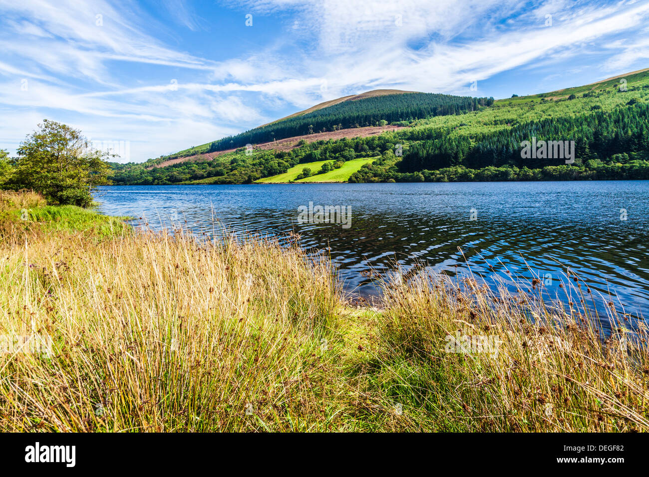 Vue sur le réservoir de Talybont dans les Brecon Beacons, Pays de Galles, Royaume-Uni Banque D'Images