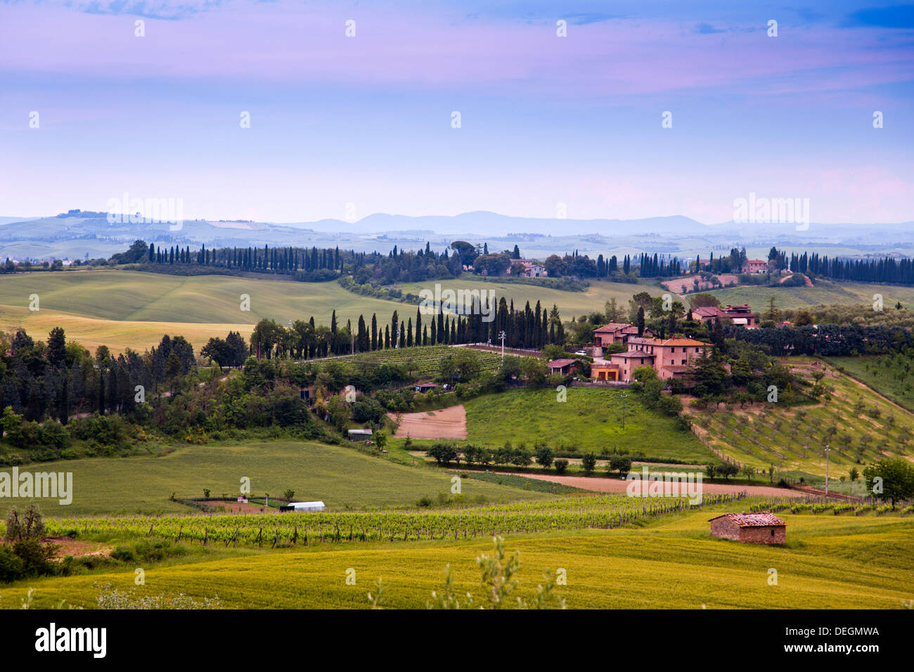 Champs avec des montagnes en arrière-plan, Sienne, Toscane, Italie Banque D'Images