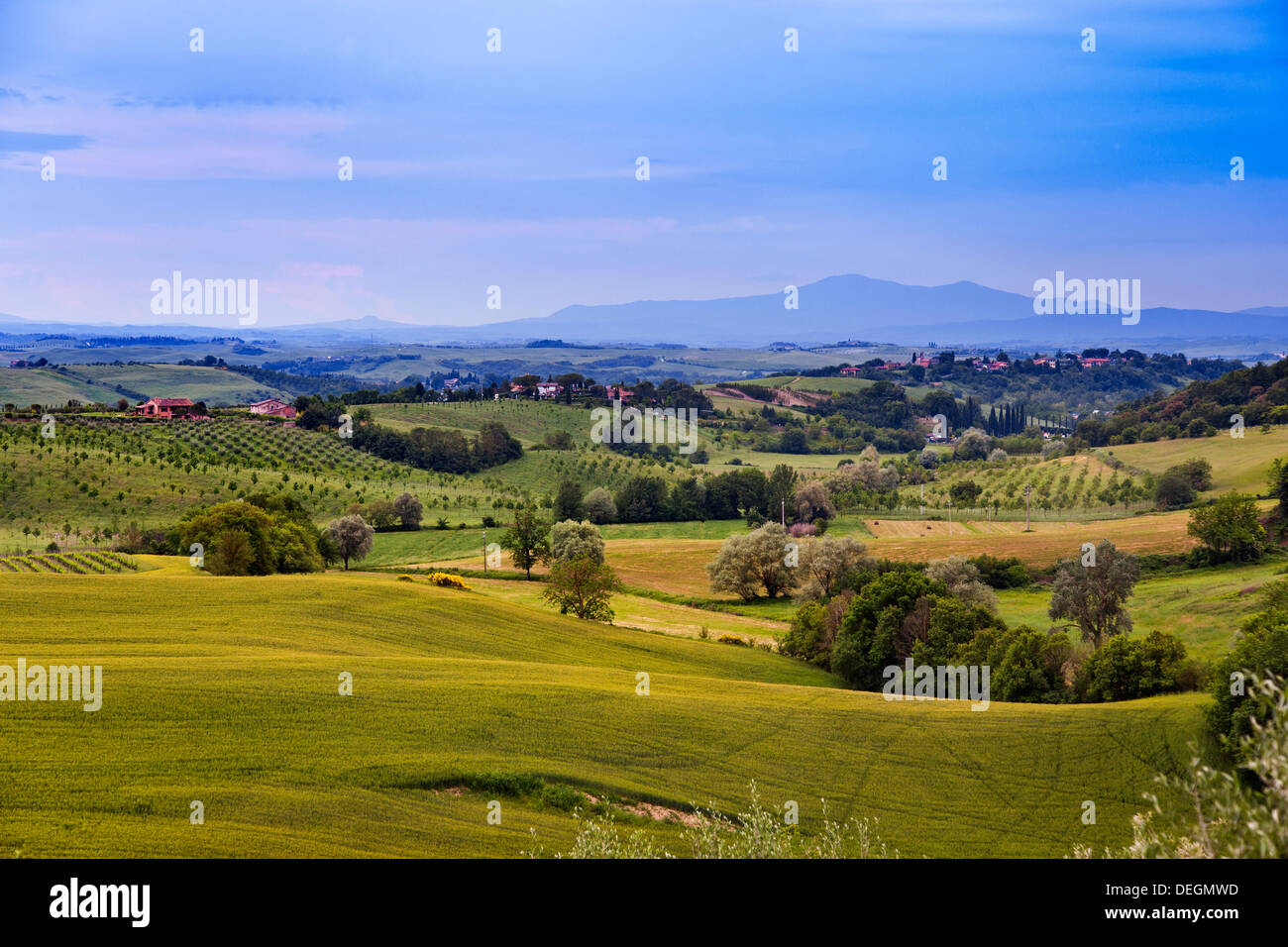Champs avec des montagnes en arrière-plan, Sienne, Toscane, Italie Banque D'Images