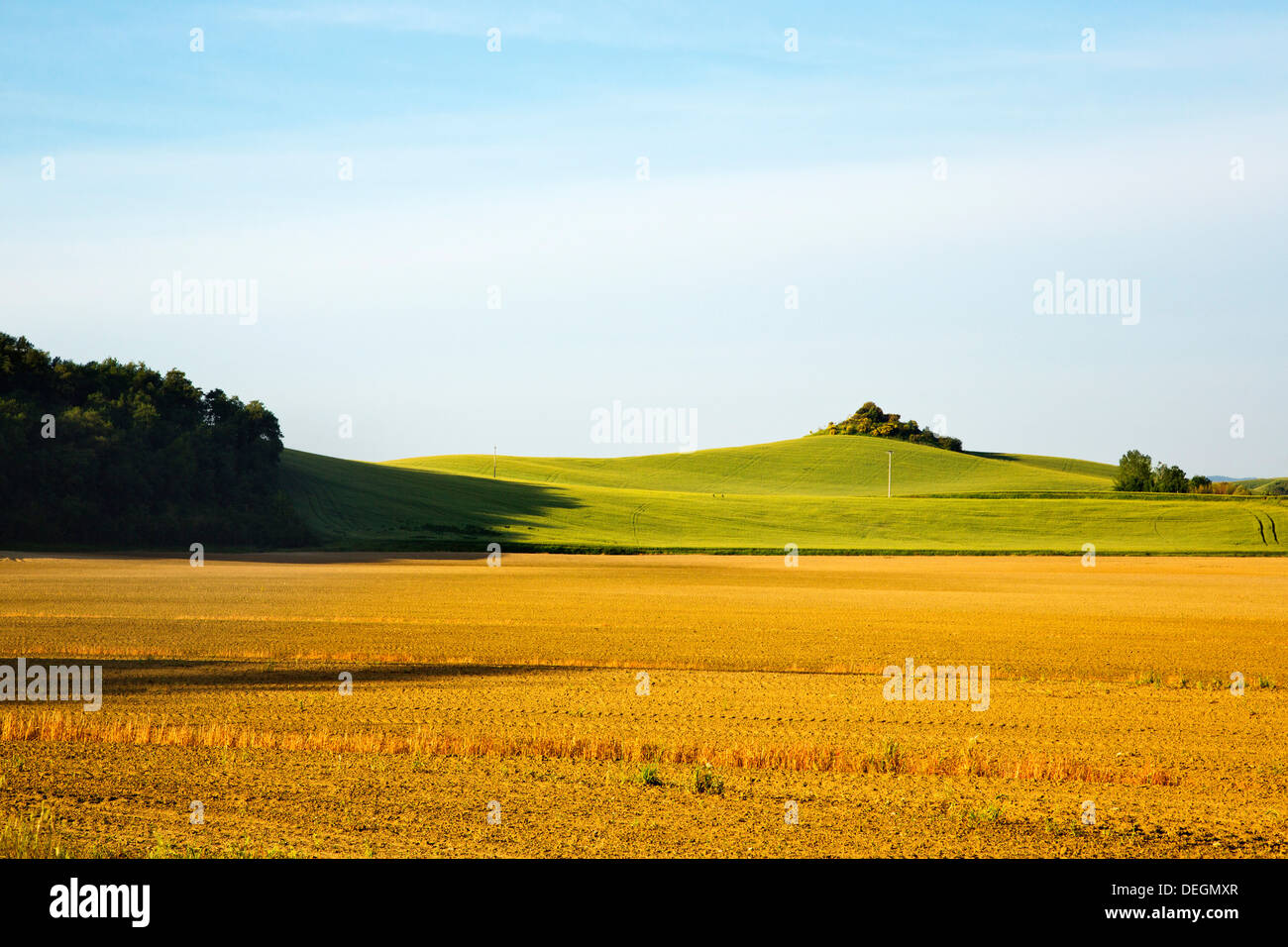 Les champs agricoles, Sienne, Toscane, Italie Banque D'Images
