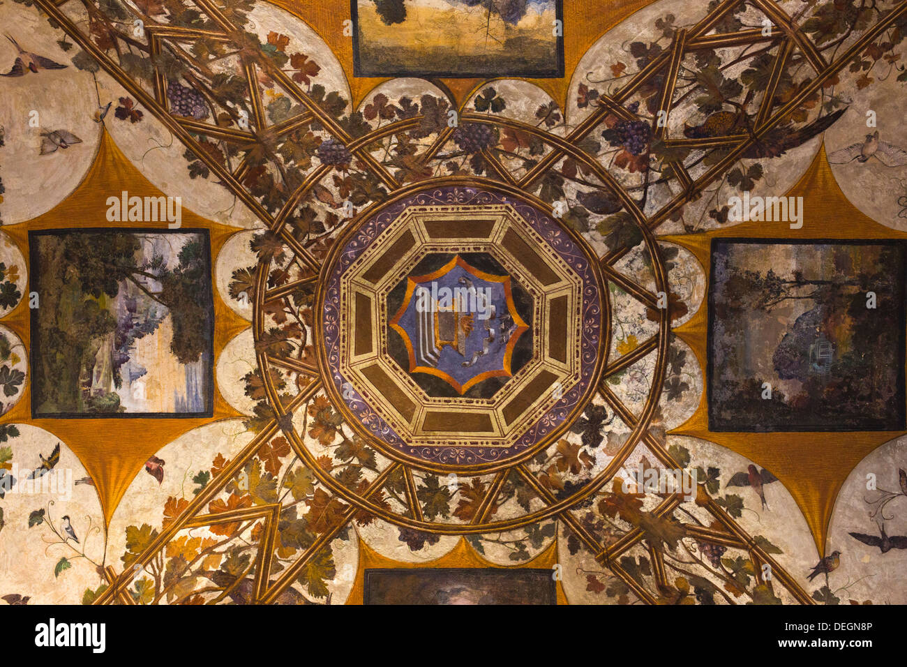 Détails de plafond d'un musée, le Palazzo Chigi-Saracini, Sienne, Toscane, Italie Banque D'Images