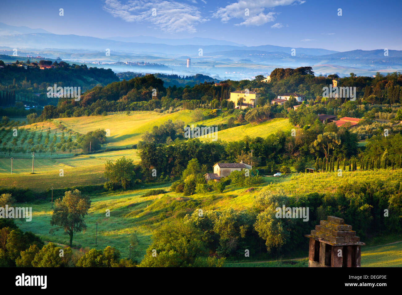 Arbres dans un champ, delle Quattro Torra, Sienne, Toscane, Italie Banque D'Images