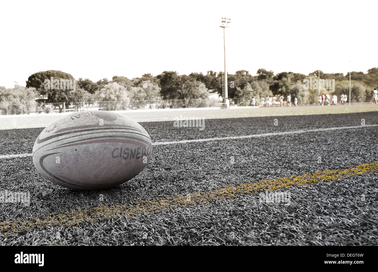 Ballon de rugby de l'équipe de Cisneros dans le domaine, Madrid, Espagne Banque D'Images