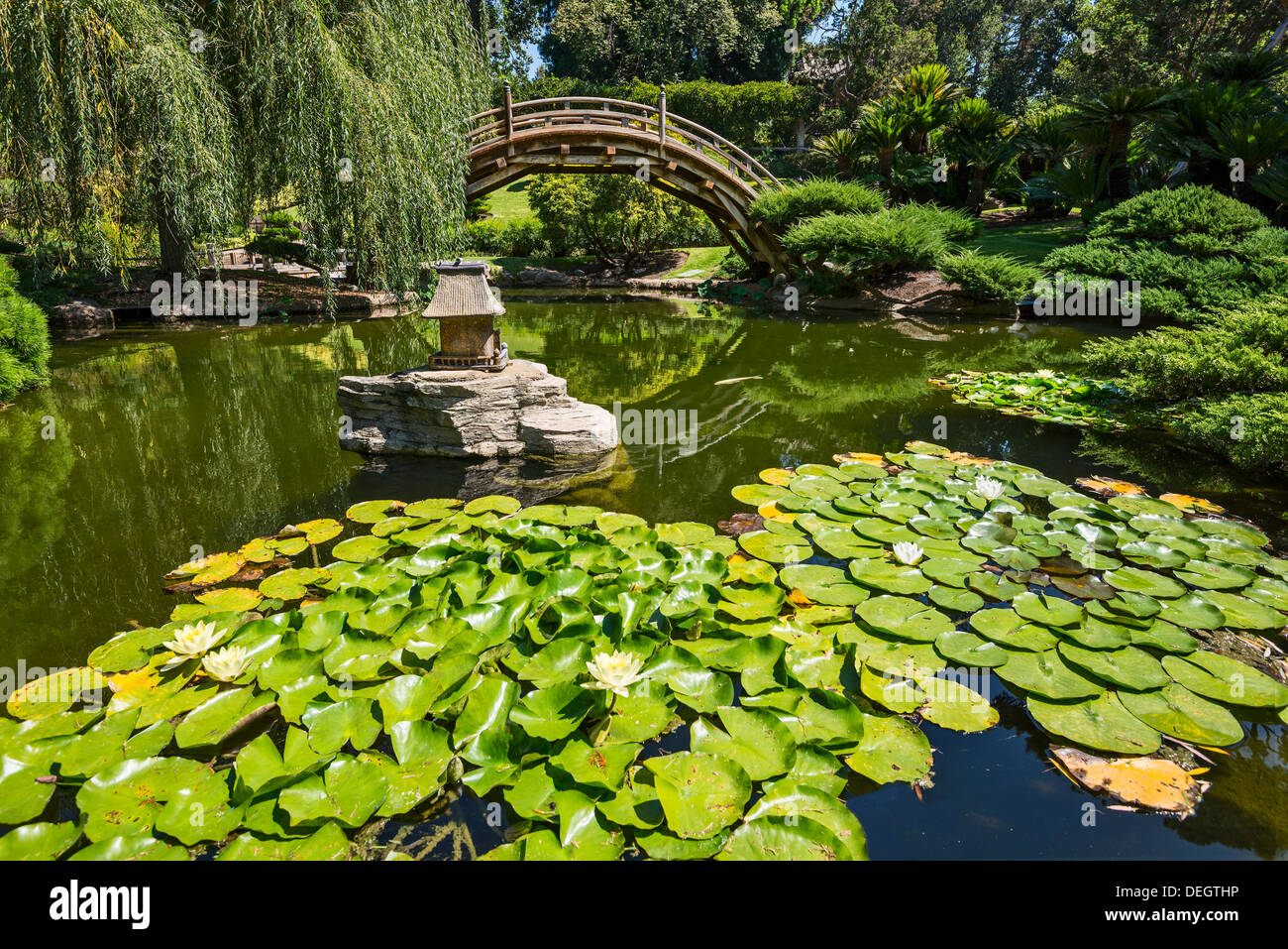 Le magnifique jardin japonais de la Huntington Library et les jardins botaniques. Banque D'Images