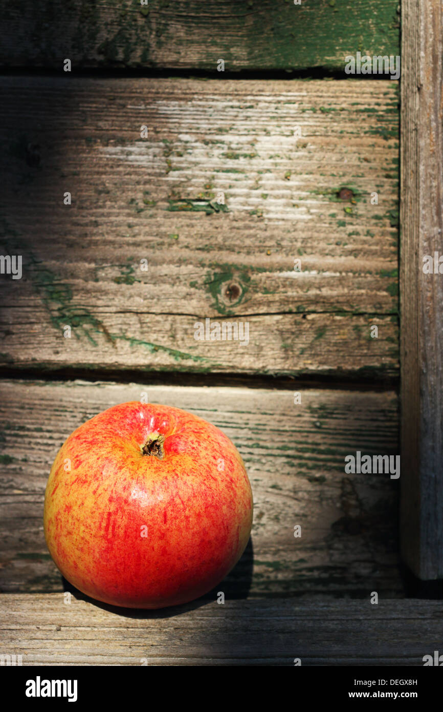 Pomme rouge au mur en bois d'un abri de jardin Banque D'Images