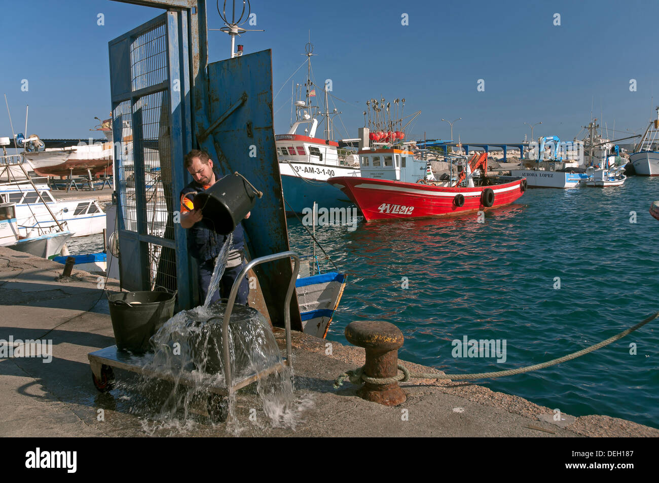 Port de pêche, Motril, grenade-province, Andalusia, Spain, Europe Banque D'Images