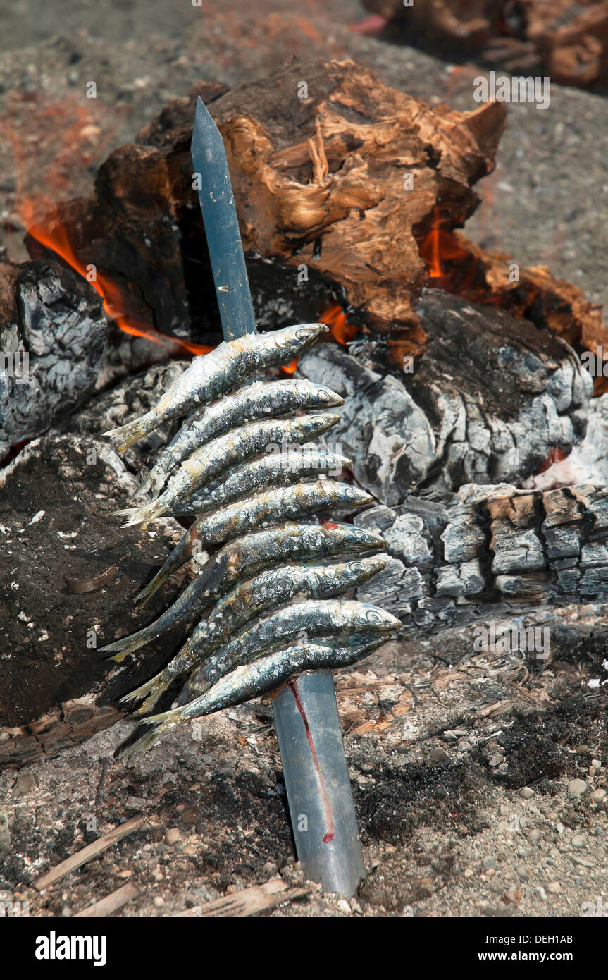 Espeto ou brochettes de sardines, Torre del Mar, Malaga-province, Andalusia, Spain, Europe Banque D'Images