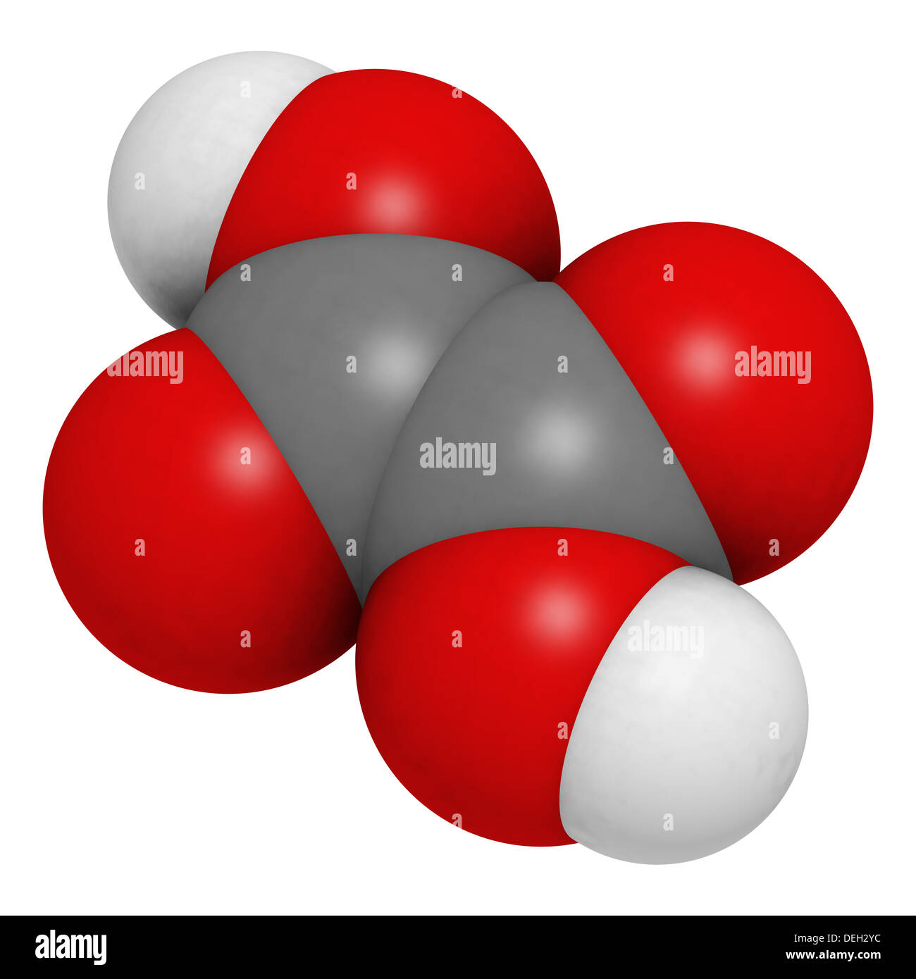 Molécule d'acide oxalique. Son sel, oxalate de calcium, est le principal composant de la plupart des calculs rénaux. La rhubarbe rend le goût aigre. Banque D'Images